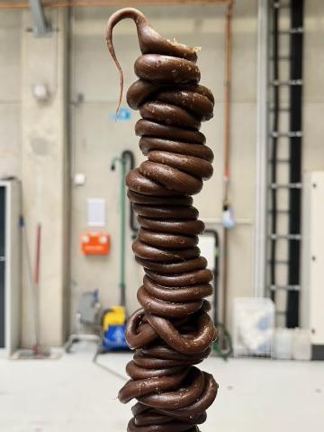 Mehlwurmkot - 2